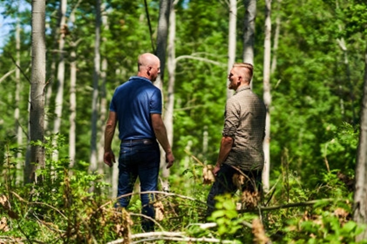 Två män talar med varandra i solig lövskog