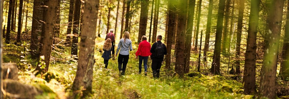 Skogsinspektor medlem 2020.
Från vänster Ava Houlihan-Burne (statist), skogsinspektor Åsa Andersson, Katarina Carlsson, Joakim Carlsson, längst fram Ingemar Levinsson.