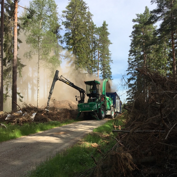 forest residues 