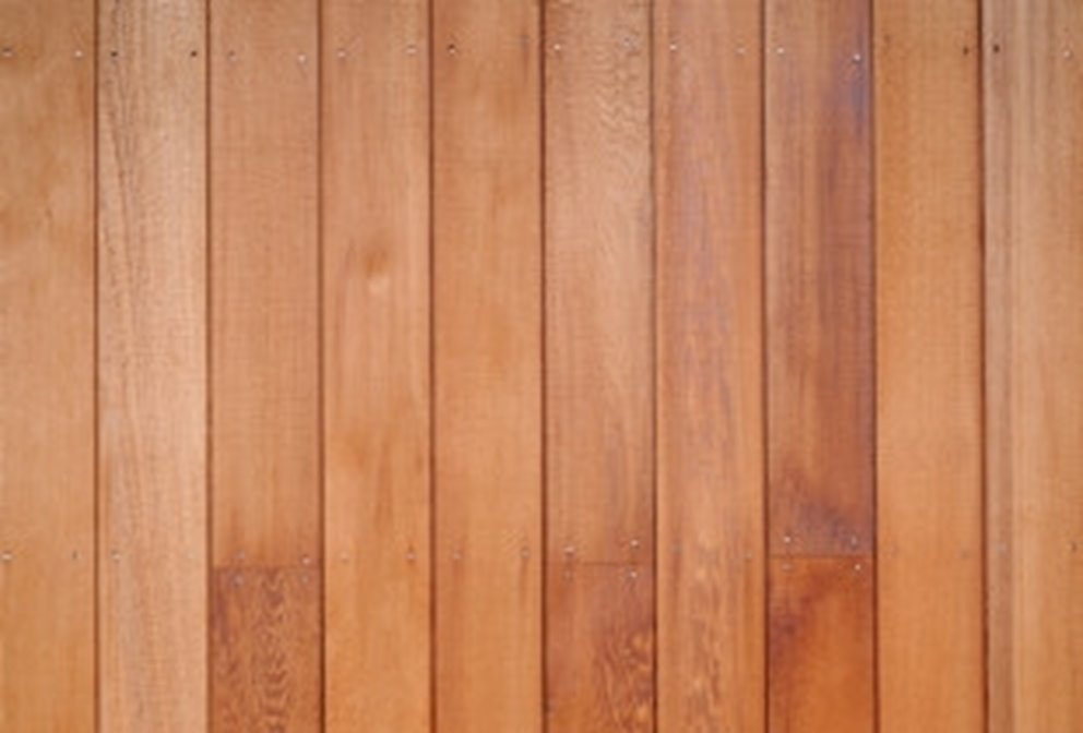 cederpanel
