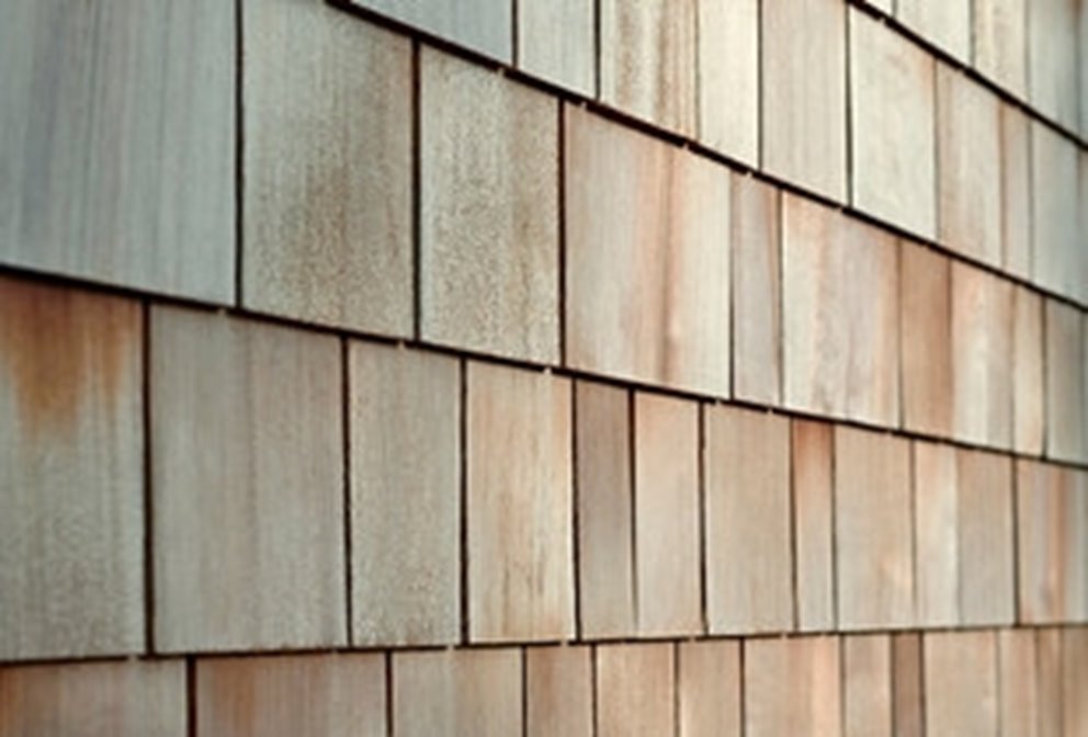 cedar