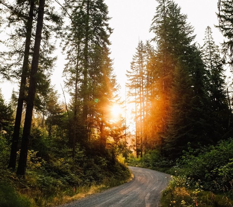 Unsplash - Gratis bild. Även den bild som använts till Conscious delivery.