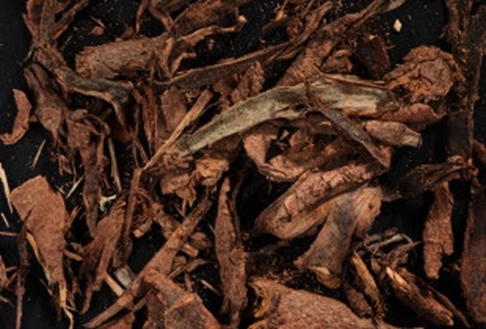 bark