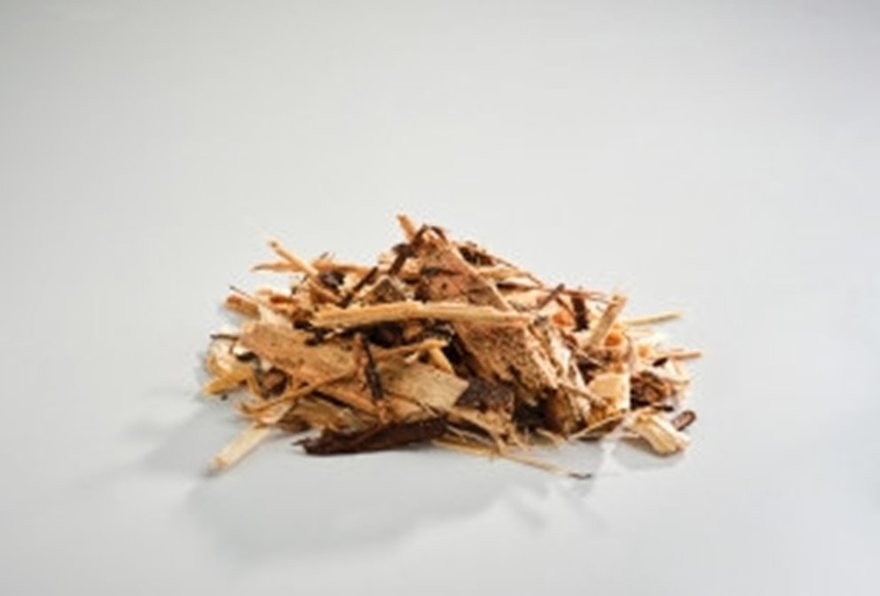 Skogsflis