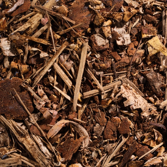 Bark Södra full picture