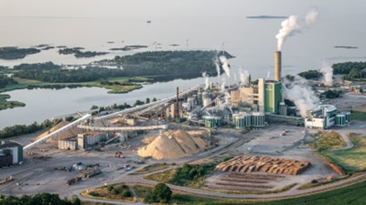 Vy över Södra Cell Mörrum