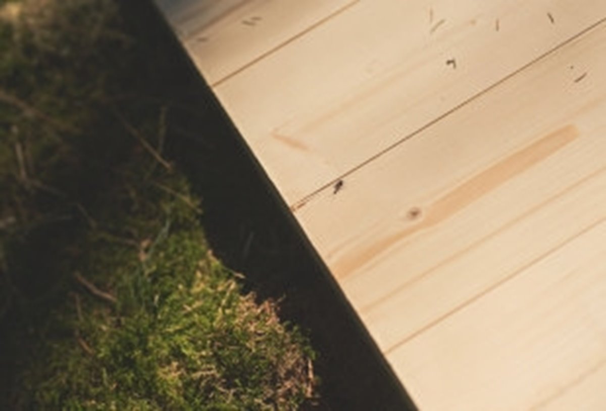 KL-träpanel i skogen