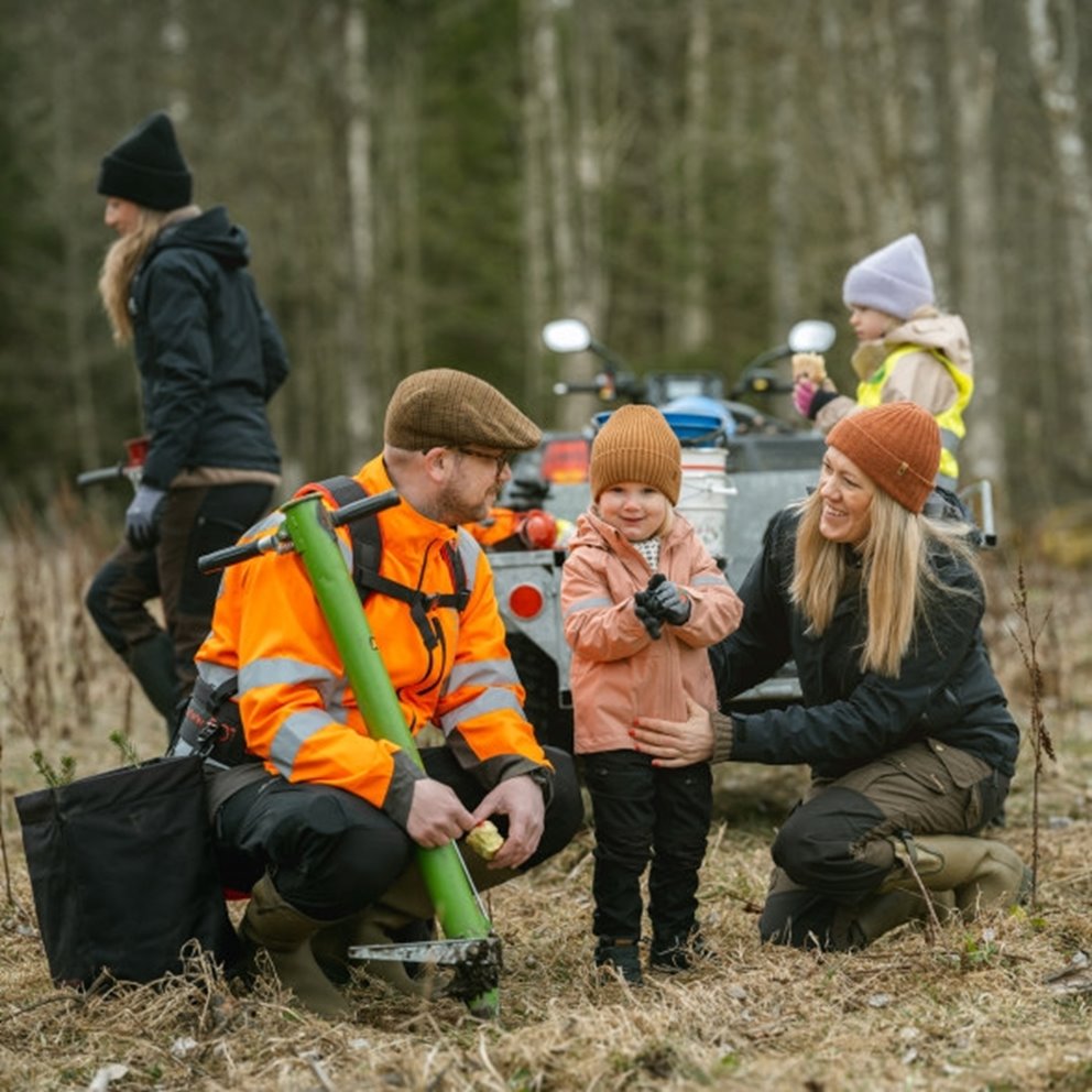 Familjeskogsbruk
