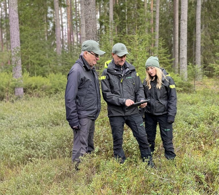 Rådgivning i skogen