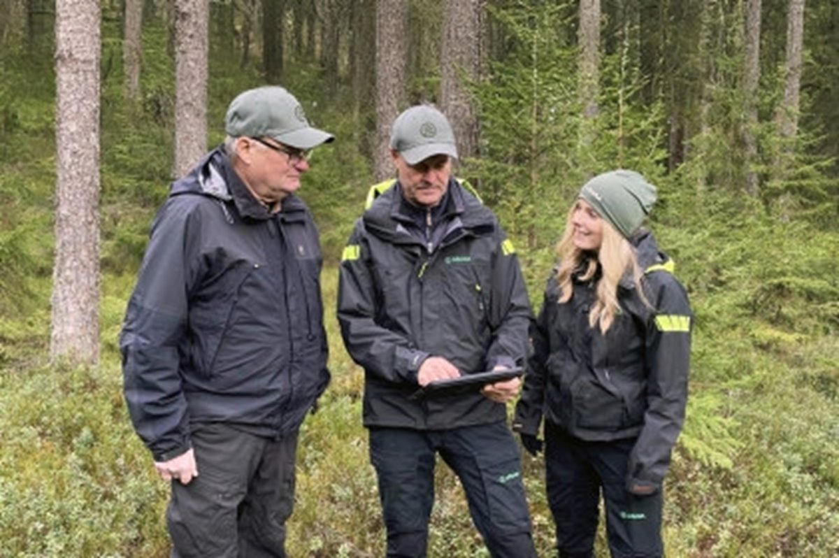 Rådgivning i skogen