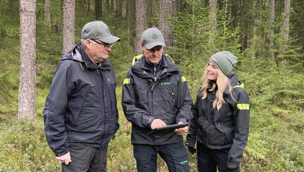 Rådgivning i skogen