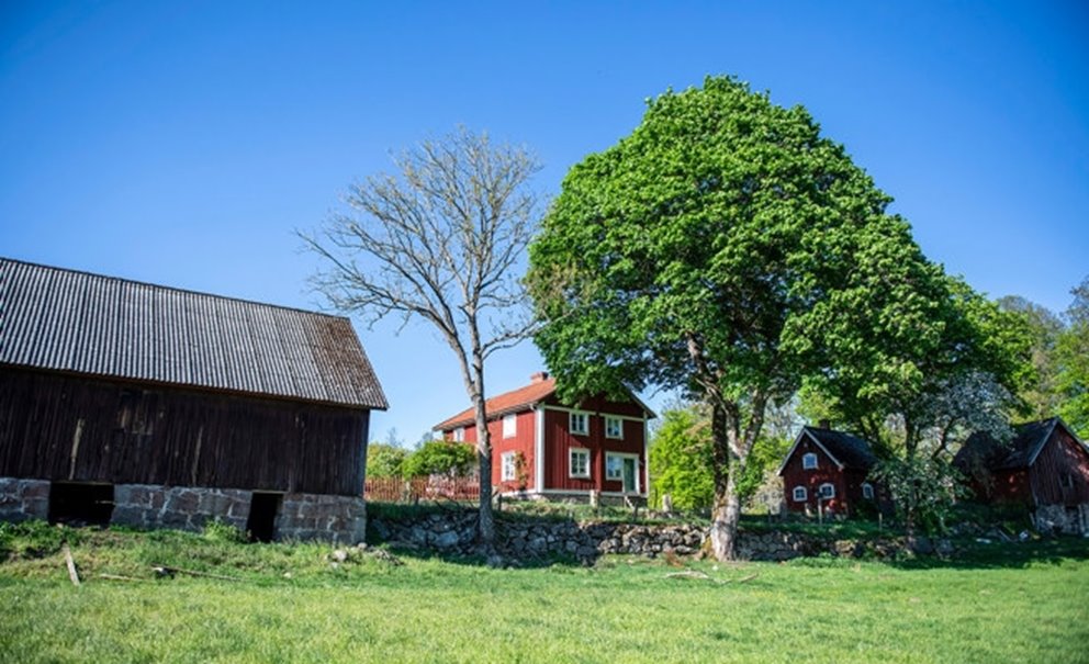 Bilder från Södrakontakt nr 2 2024
