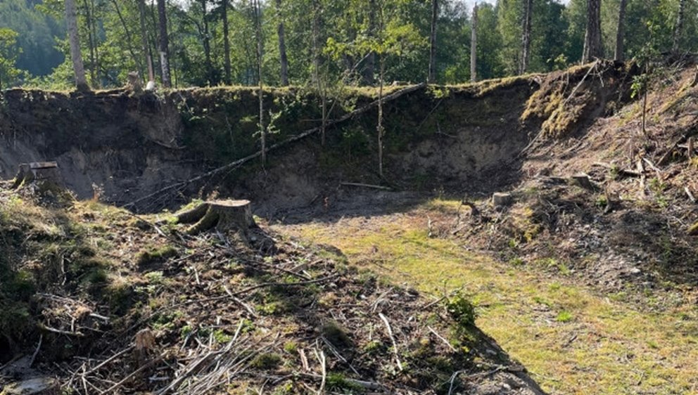 Naturvårdande skötsel, NS. En gammal bevarad grusgrop har blivit boplats för fåglar, som till exempel backsvalor, och för solitära bin och andra insekter.
Katarina och Per Johnsson , medlemmar i Dals Långed.