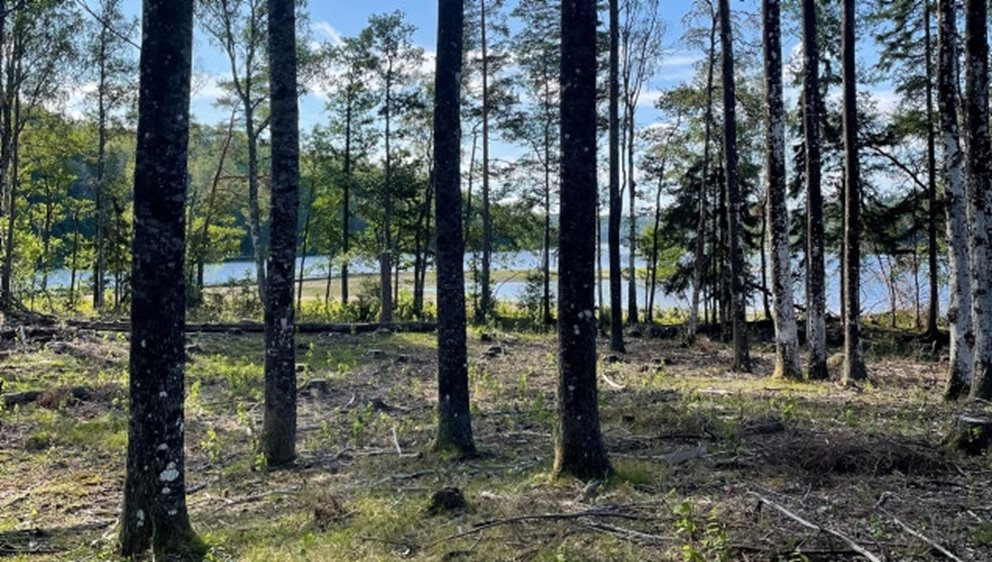 Naturvårdande skötsel, NS. NS-området ligger vackert beläget vid en sjö. Här är aspar bevarade.
Katarina och per Johnsson, medlemmar i Dals Långed.