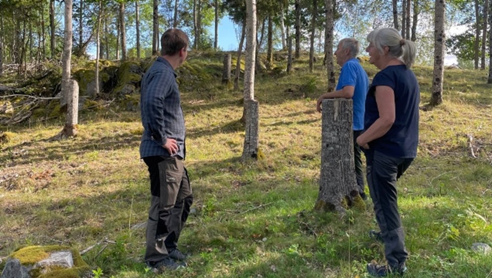 Naturvårdande skötsel, NS. För att tydliggöra var områdets alla kulturlämningar finns har skördarföraren skapat kulturstubbar. Dessa minskar risken för att lämningarna skadas av skotaren, eller vid NS-åtgärder i framtiden.
Katarina och Per Johnsson, medlemmar i Dals Långed.