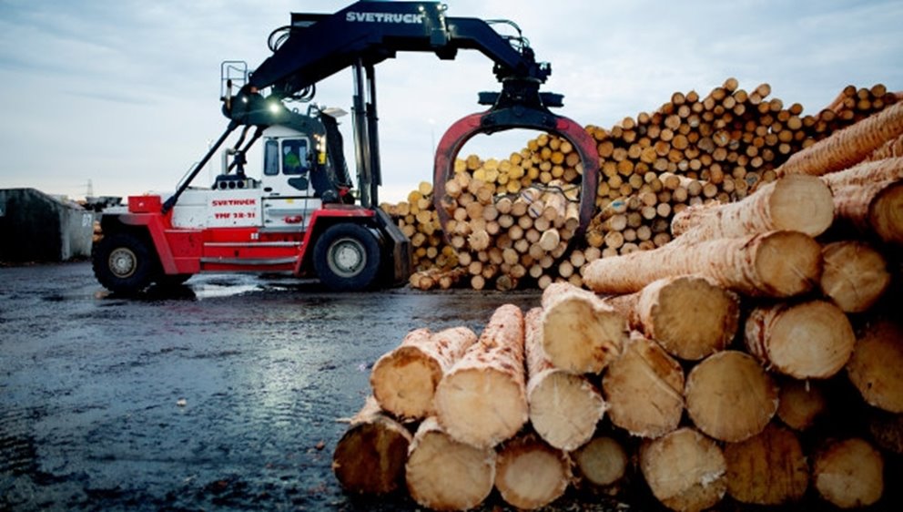 Sourcing softwood