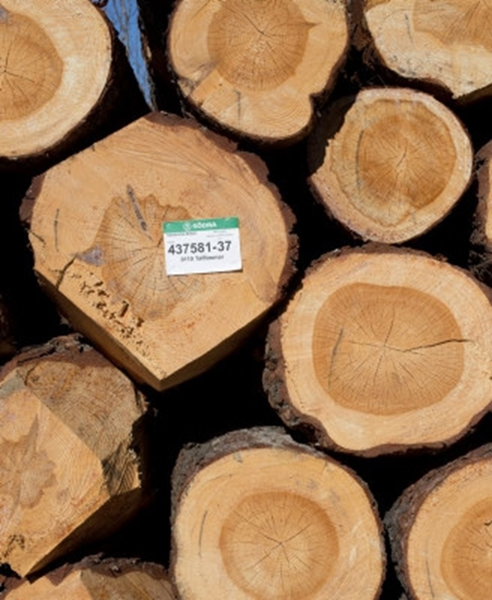 Närbild på virkestrave med Södras etikett