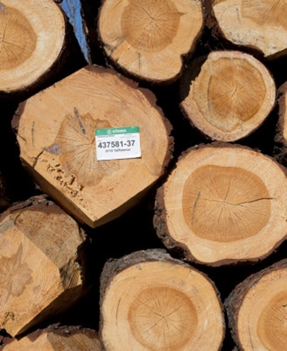 Tallvältor från skog som ägs av Södra-medlem.