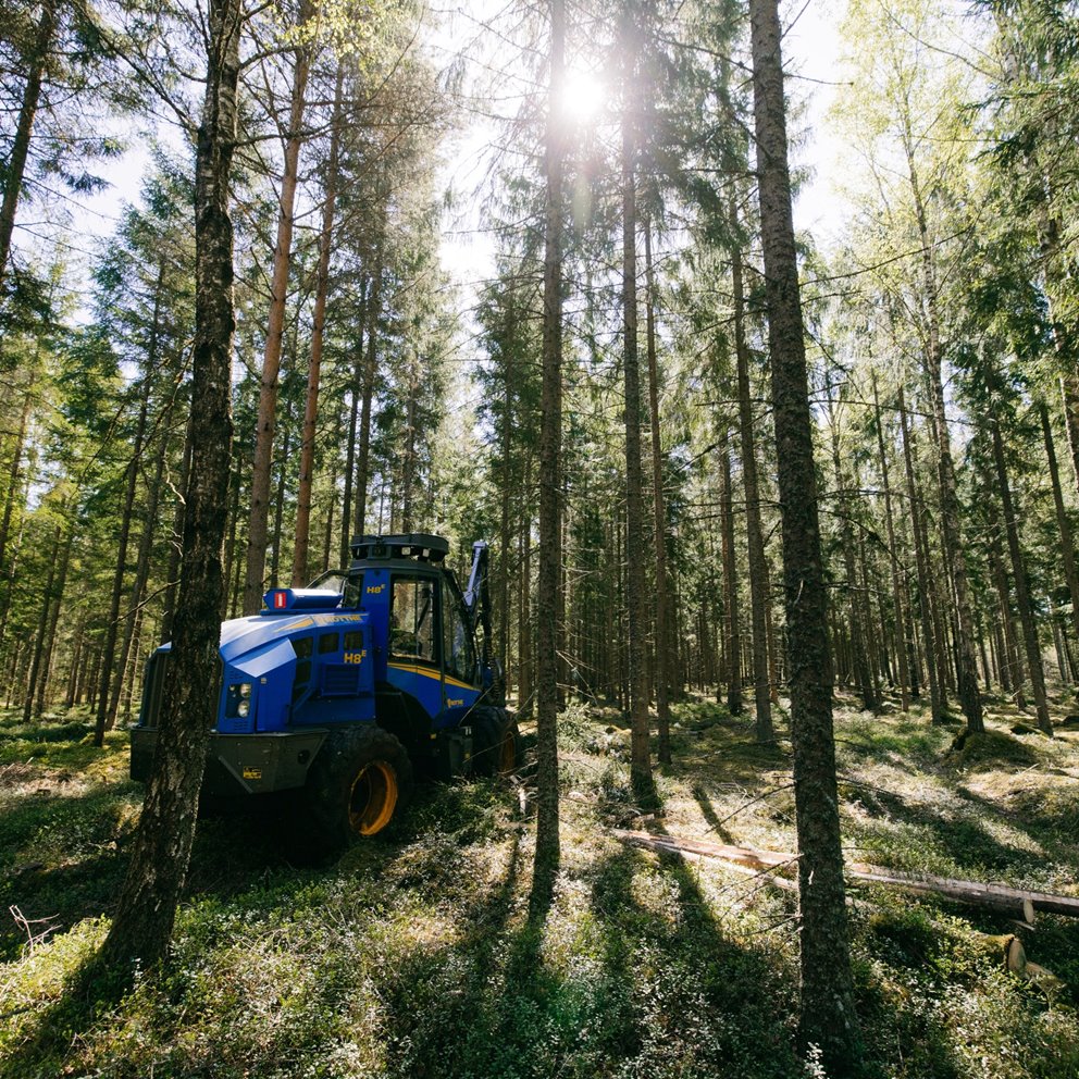 Skördare gallrar i granskog
