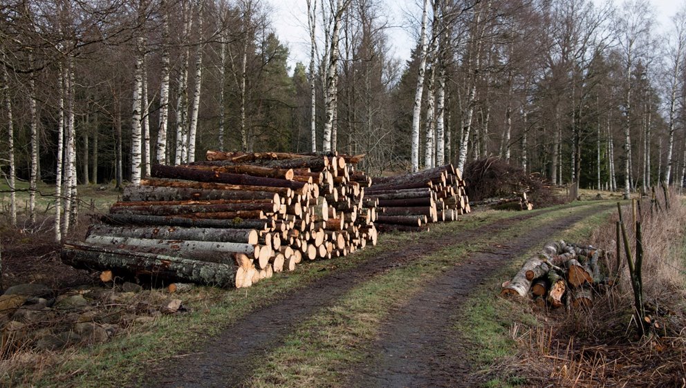 Barrmassaved