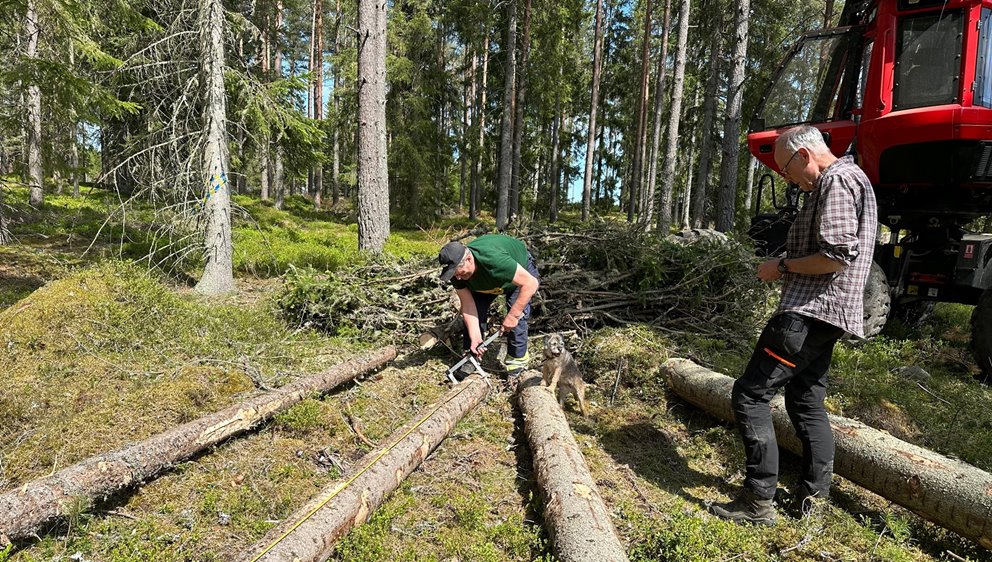 Testning av digital mätklave 2026