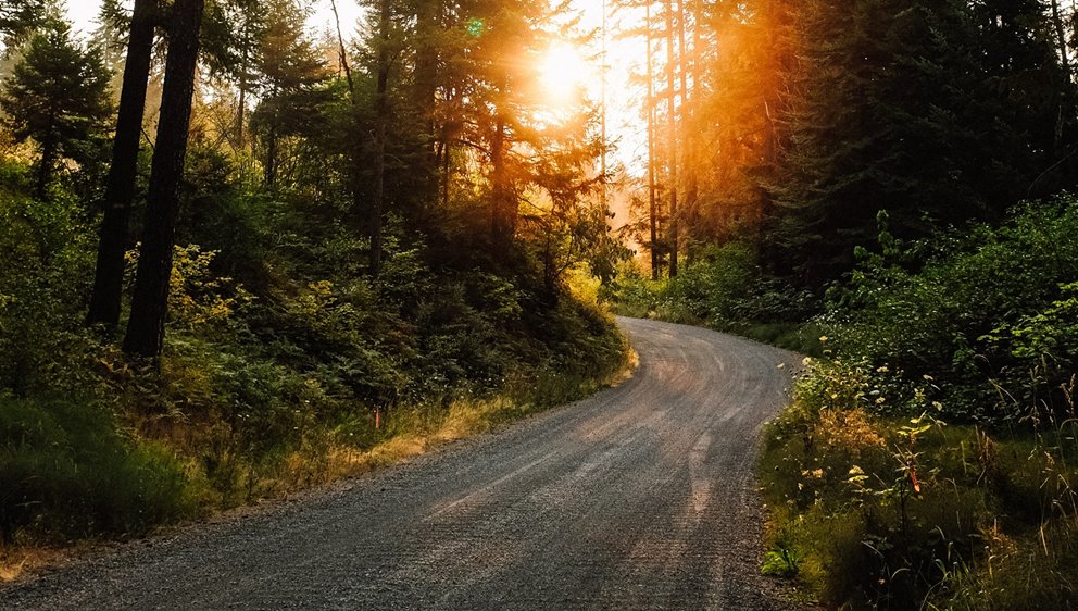 Unsplash - Gratis bild. Även den bild som använts till Conscious delivery.