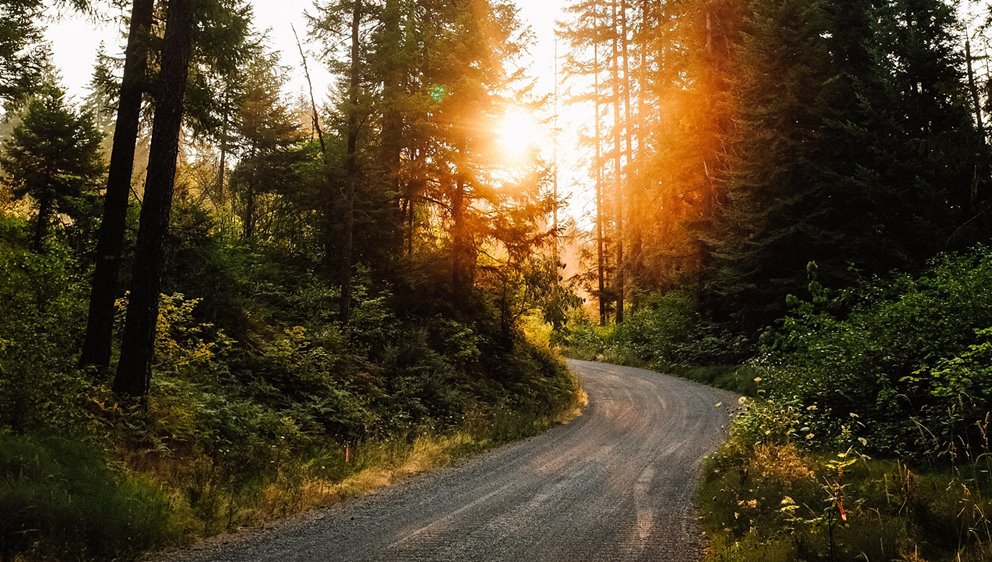 Unsplash - Gratis bild. Även den bild som använts till Conscious delivery.