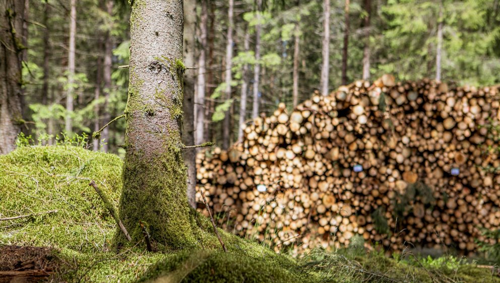 Bilder tagna på två platser i Halland.