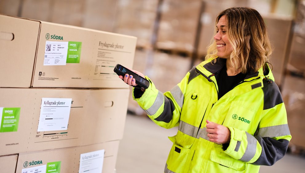Fotografering plantskolan i Falkenberg