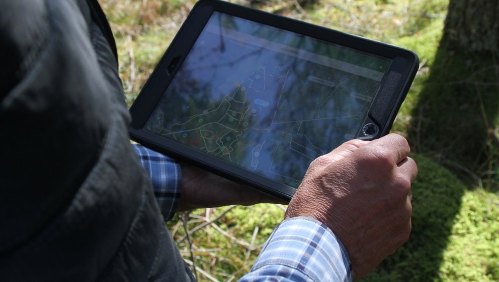 Skoginspektor med padda