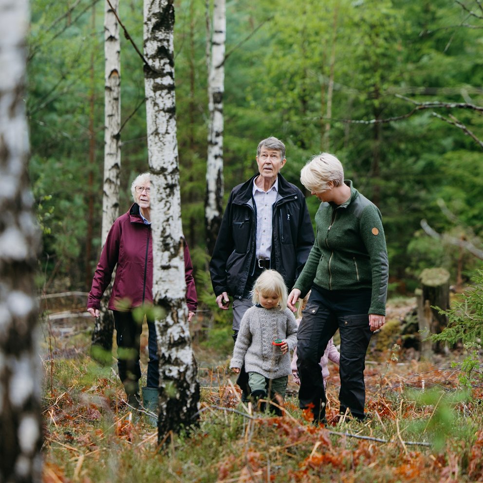 Familj i lövskog
Nära