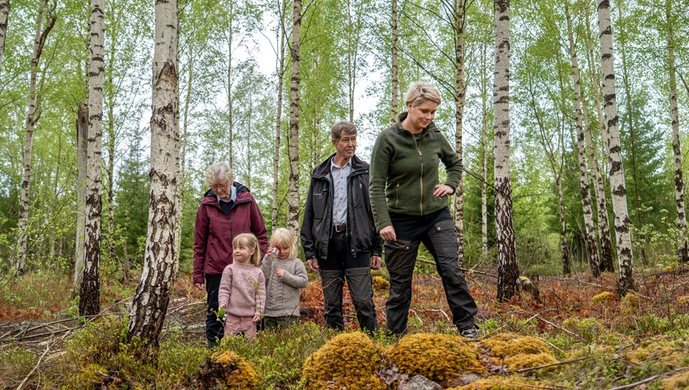 Medlemsfamilj, Nära-fotograferingen