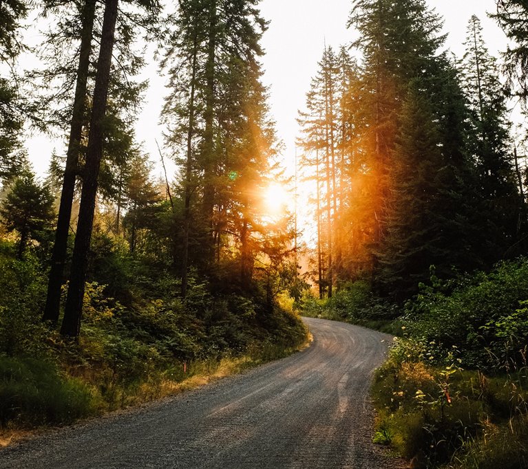 Unsplash - Gratis bild. Även den bild som använts till Conscious delivery.